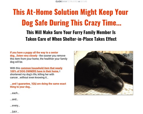 1778370447_happytail-x400-thumb.jpg